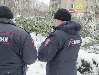 В Копейске конфисковали партию новогодних елей