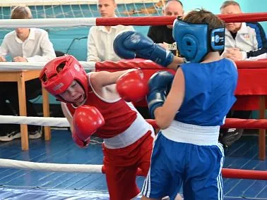 В Копейске новый турнир по боксу
