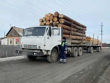Незаконная вырубка леса: какая грозит ответственность и куда сообщать о нарушениях