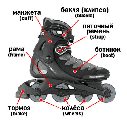 kak-vibrat-roliki-rolikovie-konki-sajt-sovetov_2.png kak-vibrat-roliki-rolikovie-konki-sajt-sovetov_2.png