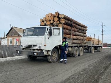 Незаконная вырубка леса: какая грозит ответственность и куда сообщать о нарушениях