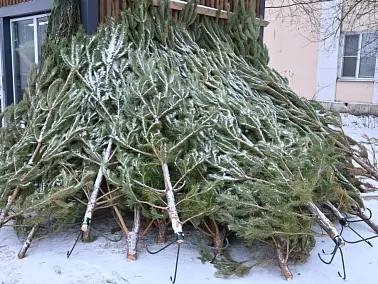Копейск открывает ёлочные базары