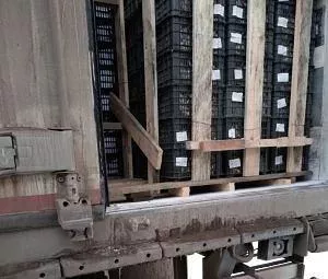 В Челябинской области проконтролировали ввоз почти тысячи тонн растительной продукции