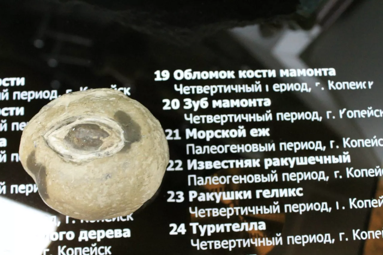 Морской ёж