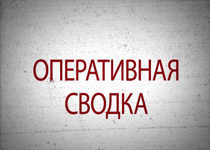 В Отдел МВД России по городу Копейску поступило 501 сообщение о происшествиях и преступлениях В Отдел МВД России по городу Копейску поступило 501 сообщение о происшествиях и преступлениях