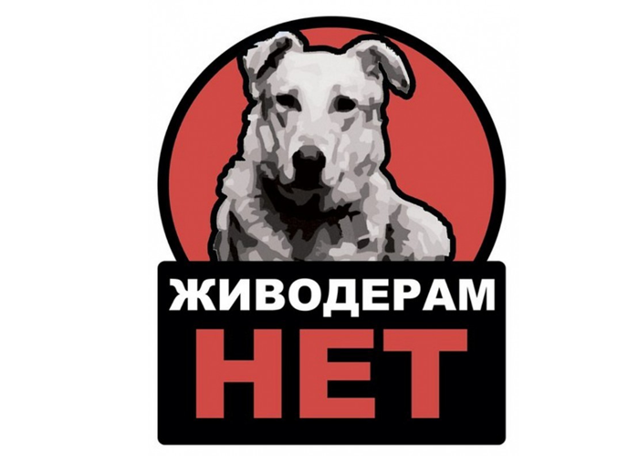 В Челябинской области живодера приговорили к обязательным работам В Челябинской области живодера приговорили к обязательным работам