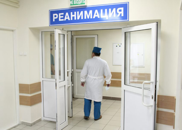 В Копейске две бойцовые собаки напали на ребенка. Мальчик в крайне тяжелом состоянии В Копейске две бойцовые собаки напали на ребенка. Мальчик в крайне тяжелом состоянии