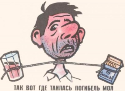 Истина вовсе не в вине Истина вовсе не в вине