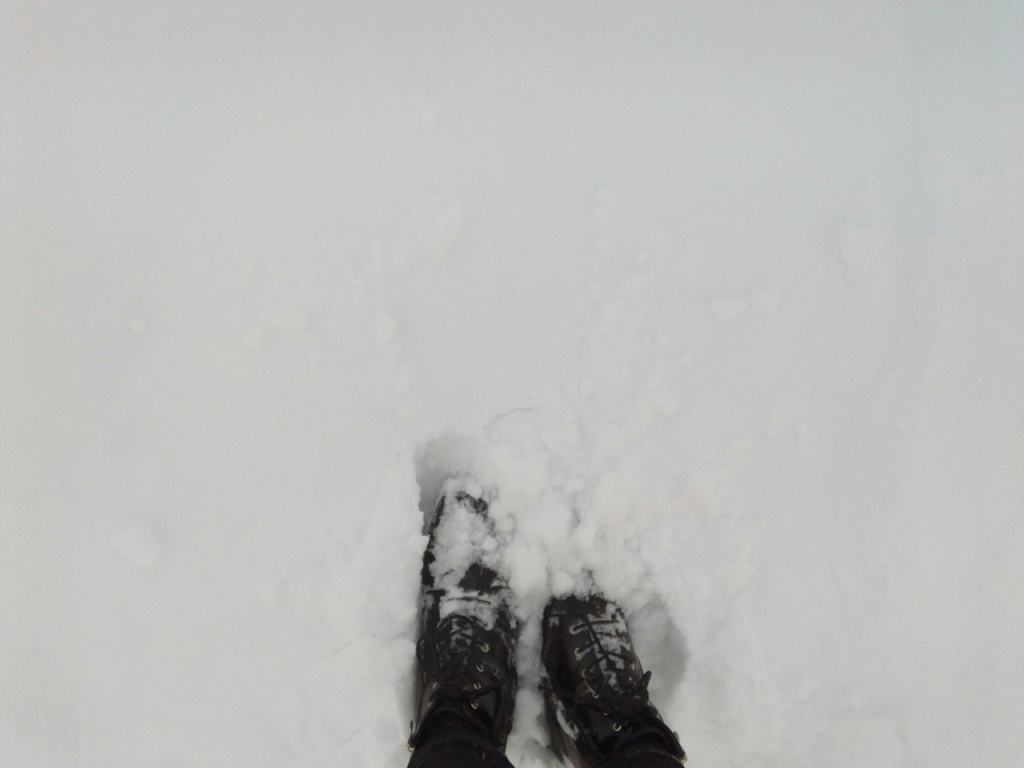 занесло-ноги.jpg занесло-ноги.jpg