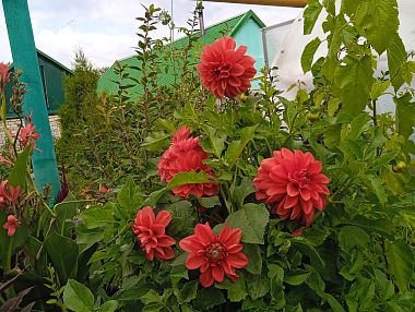 В октябре изменили нормы управления для общего имущества