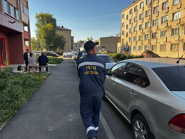 Чем опасны влажные салфетки, еда и кошачий наполнитель?