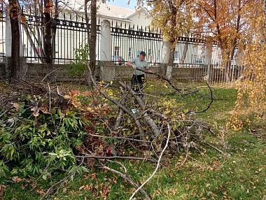 В Копейске в парке спилили сухостой и вывезли мусор